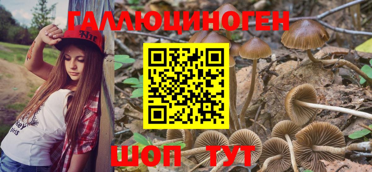 Псилоцибиновые грибы мухоморы Малгобек