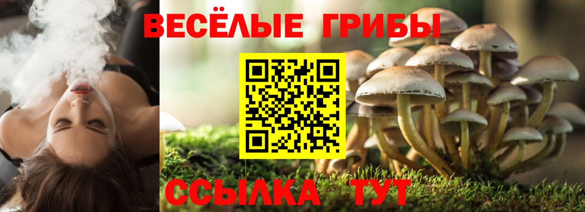Галлюциногенные грибы Magic Shrooms  Вход с VPN  Малгобек  Галлюциногенные грибы мухоморы 